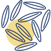 No Gluten
